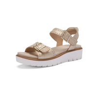 Ara Buttercup Shell Nuvolakid 12-33517-05