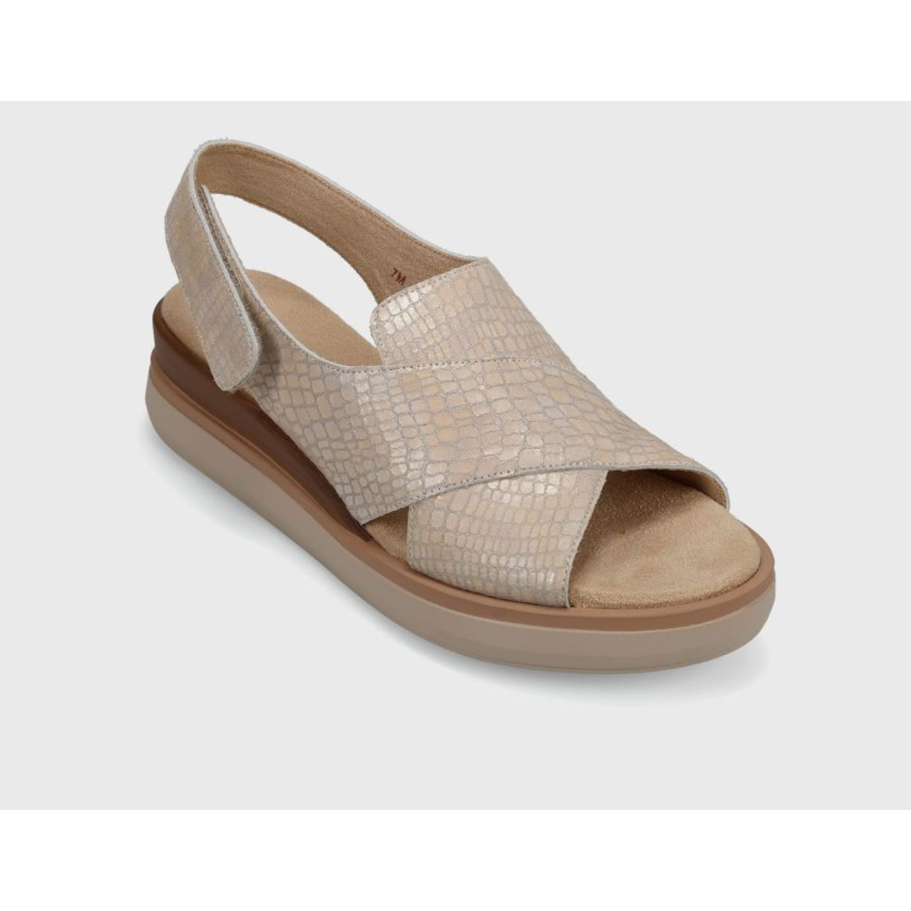 Vaneli Hydra Champagne